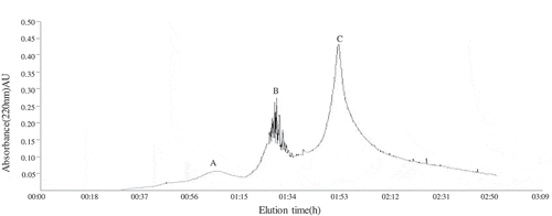 Figure 5. Purification of oats globulin hydrolysates through ion-exchange chromatography.Figura 5. Purificación de hidrolizados de globulina de avena mediante cromatografía de intercambio iónico