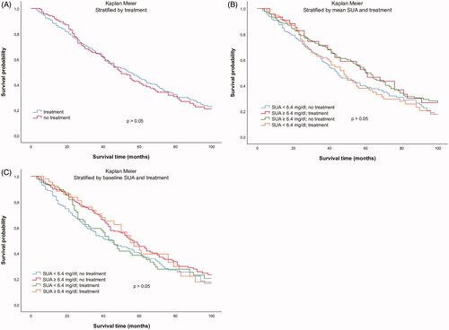 Figure 2. Kaplan–Meier survival curves in dependence of (A) presence of SUA lowering therapy at baseline, (B) mean SUA concentrations and the presence of SUA-lowering therapy at baseline, and (C) baseline SUA concentrations and the presence of SUA lowering therapy at baseline (3 months after initiation of dialysis).