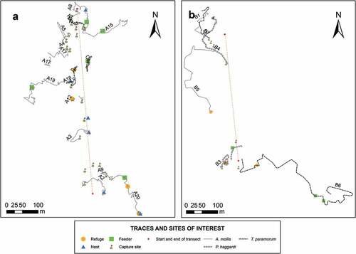 Figure 7. Movement map of individuals in the four sampling sites. Lines of different colors represent the movements of each cricetid rodent. Nests, feeders, and shelters are represented in figures. There is no observable movement pattern. The figure shows sampling sites A and B. The detailed information on the individuals is found in Appendix C.