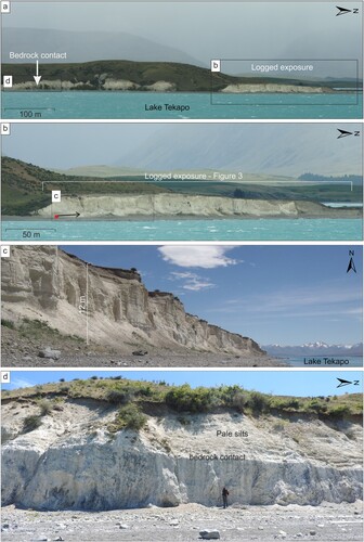 Figure 2. (a). The southwestern shoreline of Lake Tekapo, viewed from the eastern lakeshore, showing the location of the outcrop in panel b and the bedrock contact in panel d. (b). Extent of the logged outcrop, as viewed from the eastern lakeshore. Note that the surface of the cliff is relatively flat-lying, and the top of the outcrop is cut through a palaeo-lake level at 726 m a.s.l. (Sutherland et al. Citation2019a, Citation2019b) (c). Contextual photograph to show the vertical scale of the outcrop, viewed from the south. Circle and arrow in the box in panel b indicates the position of the photographer and view direction respectively in panel c. (d). Contact between bedrock and pale silts, location relative to logged exposure shown in panel a.