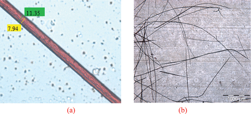 Figure 2. (a) fiber diameter and lumen diameter, and (b) fiber length under light microscopy.