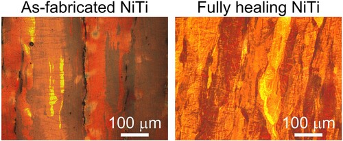 Figure S2. Optical microstructure images taken under the polarised light condition showing parent phase grain morphologies before and after the SPS healing process. The columnar grains parallel to the L-PBF building direction are still preserved after the healing process. This is consistent with the high-temperature texture measurement (Figure 5 (f)).