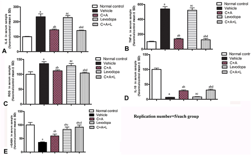 Figure 3 C16+Ang-1 treatment alleviated inflammation. (A–D): IL-6 (A), TNF-α (B),  ROS (C), IL-10 (D), and γ-GABA (E) were measured a, P < 0.05 versus control; b, P < 0.05 versus vehicle group; c, P < 0.05 versus C16+Ang-1 treated group; d, P < 0.05 versus levodopa-treated group.