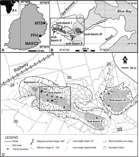 FIGURE 2. A, location of Mauritius in the southwestern Indian Ocean and locations of Mare aux Songes (MAS), Fort Frederik Hendrik (FFH), and Lake Tatos (MTS); B, map of Mare aux Songes and the sub-basins near the coast. Rectangular frame shows extent of inset C; C, geomorphological map of the Mare aux Songes area showing positions of all sub-basins (0, I, II, III) and locations of trenches TR1 (TR0), TR2, and TR3 (TR4). Rectangular frame shows extent of inset D; D, left panel showing extent of marsh at sub-basin I. The dashed line represents the longitudinal cross-section with positions of dated and undated samples from cores, scoops, and trenches. Right panel showing the longitudinal cross-section through the marsh with locations of radiocarbon dated samples (see Table 1). B is carbonate sands, C is lake marl and gyttja, D is fossil layer, and E is dumped basalt boulder layer.