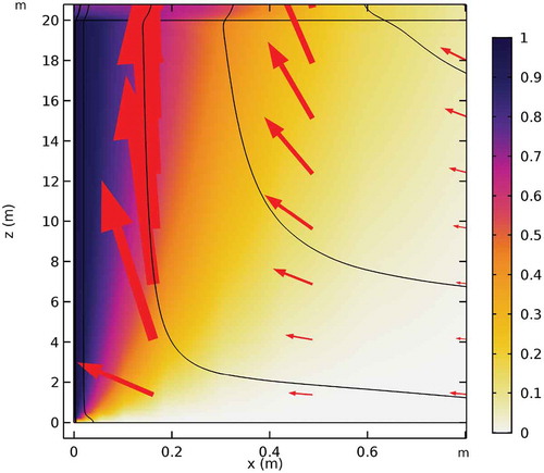 Fig. 8. Enlargement of the left corner of Fig. 7a showing the flow field and concentration profile near the 20-m-high source on the left side for T = 10−8 and a density difference of Δρρ= 0.001.