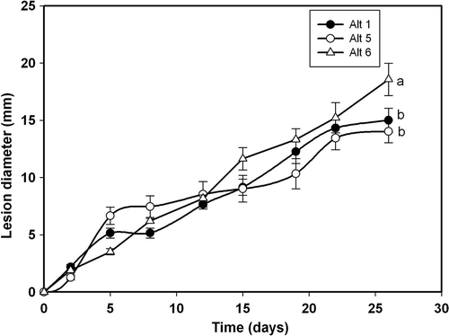 Fig. 4. Lesion development caused by three Alternaria alternata isolates on wounded fruits of ‘Fortune’ mandarin: Alt 1(•), Alt5 (○), and Alt6 (Δ). Data represent mean values of lesion diameter (mm) at different days post-inoculation. Vertical bars denote ± SE, when larger than symbols. Values not sharing a common superscript letter are significantly different (P < 0.05).