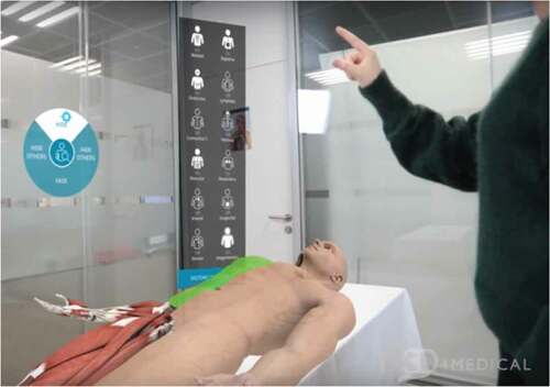 Figure 3. The AR app ‘HoloHuman’ showing a virtual cadaver placed on a real examination table. The moderator (shown) is able to interact with the model and user interface through the use of a HoloLens headset. Structures, organs and systems can be examines individually or in combination and are fully supported by visual narrative and digital dissection tools (image courtesy of 3D4 Medical from Elsevier, 2020; https://3d4medical.com/apps/holohuman)