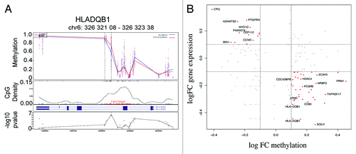 Figure 5. Differential methylation at HLA-DQB1 and scatterplot of relationship between methylation and gene expression. (A) The figure shows group average methylation data mapped to genomic region for HLADQB1 gene. The top panel shows 12-mo methylation measurements from allergics (blue) and non-allergics (red) plotted against genomic location. The dashed lines indicate the differentially methylated region and the gene transcript is show below. The location of a CpG island is indicated in red and the –log P values for each data point are shown in the bottom panel. (B) Scatterplot of log fold change (FC) DNA methylation (case v control) and gene expression (case vs. control).