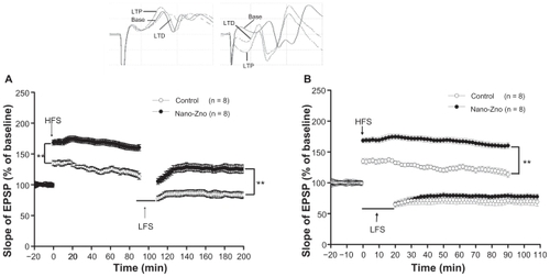 Figure 6 Electrophysiological data. LTP was induced using TBS, and depotentiation was induced using LFS after recording a stable baseline for 20 minutes. LTP lasted at least 90 minutes. (A) Comparison of slopes of EPSP of LTP and depotentiation in nano-ZnO-treated group and control group. (B) Last 20 minutes of LTP-evoked responses was normalized and used for the baseline responses of depotentiation. Comparison of slopes of EPSP of LTP and depotentiation in nano-ZnO-treated group and control groups.Notes: Data are expressed as mean ± standard error of the mean; **P < 0.01 compared with control group.Abbreviations: EPSP, excitatory postsynaptic potential; HFS, high frequency stimulation; LFS, low frequency stimulation; LTD, long-term depotentiation; LTP, long-term potentiation; nano-ZnO, zinc oxide nanoparticles; TBS, theta burst stimulation.
