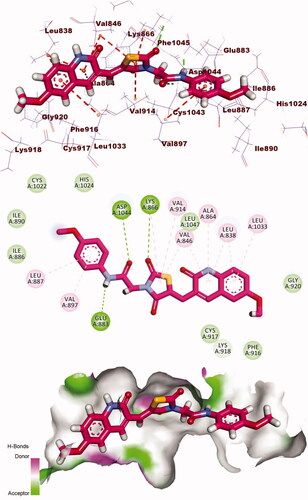 Figure 10. 3D, 2D, and surface mapping of compound 8 into VEGFR-2. The hydrogen bonds were presented in green colour with Lys866, Asp1044, and Glu883. The hydrophobic bonds were presented in orange colour with Ala864, Leu838, Leu1033, Val846, Val914, Lys866, Leu887, and Val897.