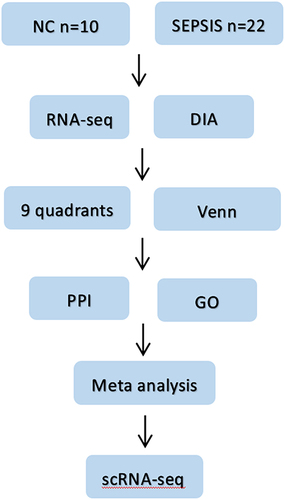 Figure 1 Flow chart of the study. Firstly, blood samples from sepsis patients and normal subjects were collected, then differential proteins and differential genes were screened by DIA protein profile and RNA sequencing combined with bioinformatics methods; then proteomics and genomics data were jointly analyzed; later, intersecting targets were taken for PPI and GO analysis, and four potential core genes were finally clarified by meta-analysis. Finally, scRNA-seq was used to clarify the cell lines localization of the target genes.