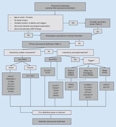 Figure 1. Suggested diagnostic algorithm for paroxysmal dyskinesias.Asterisks denote main genes to consider within each category.PED: Paroxysmal exercise-induced dyskinesia; PHD: Paroxysmal hypnogenic dyskinesia; PKD: Paroxysmal kinesigenic dyskinesia; PNKD: Paroxysmal nonkinesigenic dyskinesia.