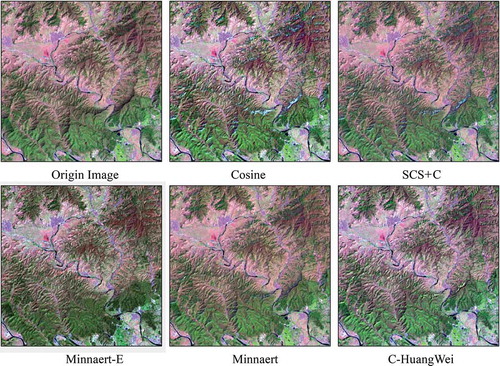 Figure 4. Comparison of results from different models for sub-scene (c), RGB (ALI bands MS-5, MS-4, MS-2).