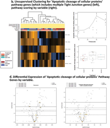 Figure 5. (Continued).