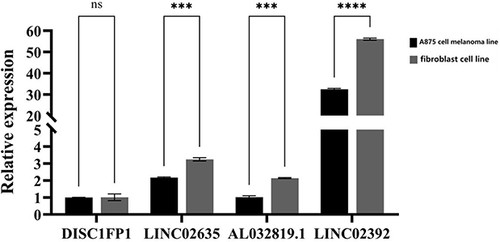 Figure 12 The relative expressions of optimal feature genes were validated by qRT-PCR. The expressions of DISC1FP1, LINC02635, AL032819.1, LINC02392 between A857 cell melanoma line and fibroblast cell line. Statistic tests: Student’s t-test (P <0.001***.P<0.0001****).