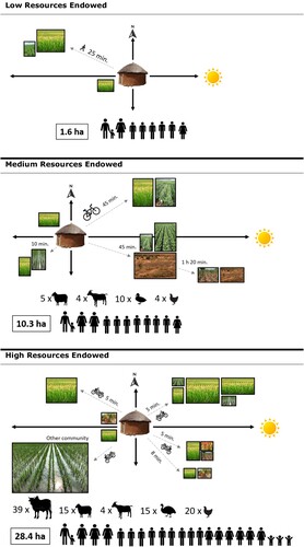 Figure 3. Graphical illustration of threecase study farm households in Duko (adapted after Michalscheck et al. (Citation2018)).