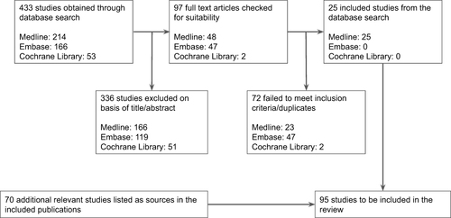 Figure 3 Flowchart of the search strategy showing the number of publications found and included in the literature review.
