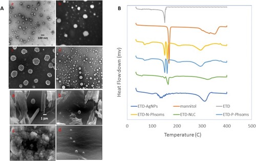 Figure 1 (A) TEM and SEM images of different ETD nanoformulations; (a) N-Phsoms, (b) P-Phsoms, (c) NLCs, and (d) AlgNPs. TEM images was at 7500× and scale bar is 100 nm. While SEM images were at 7500× magnification power and scale bar is 1 µm. (B) DSC thermograms of Mannitol, ETD, N-Phsoms, P-Phsoms, NLCs, and AlgNPs.Abbreviations: ETD, Etodolac; NLC, nanostructured lipid carriers; TEM, transmission electron microscope; SEM, scanning electron microscope; AlgNPs, alginate nanoparticles; DSC, differential scanning calorimeter.