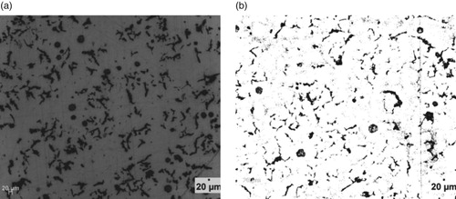 Figure 3. (a) Un-etched optical micrograph of 1.575% Al-ductile iron at 20 μm mag. (b) Etched optical micrograph of 1.575%Al-ductile iron at 20 μm mag. (2% Nital for 12 s).