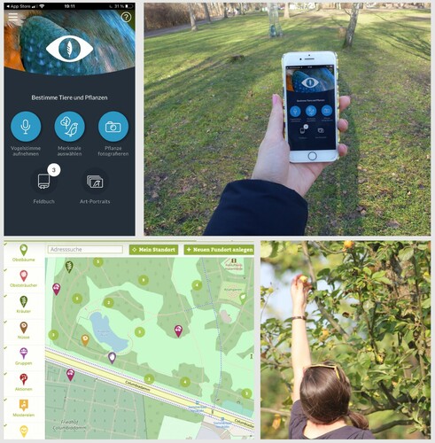 Figure 1: The Naturblick and mundraub apps and their uses. The image on the top left shows the main menu of the Naturblick app (Source: own screenshot). On the top right is a photo of the Naturblick app in use (Source: own photograph). On the bottom left is the mundraub map (Source: own screenshot of https://mundraub.org/map). The image on the bottom right shows the mundraub app in use (Source: https://mundraub.org/press).