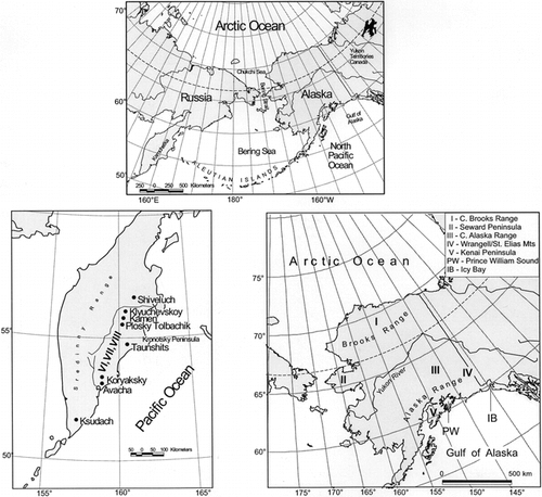FIGURE 1. Location of glacial chronologies delineated in part or whole by lichenometry of moraines in Alaska (I–V) and Kamchatka (VI–VIII)