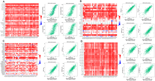 Figure 8 Correlation of GZMA expression and lymphocytes, immunomodulators and chemokines in breast cancer. (A) Correlation between abundance of TILs and GZMA (plus the four TILs with the highest correlation, respectively). (B) Correlation between the level of immune inhibitors and GZMA expression (plus the four immune inhibitors with the highest correlation, respectively). (C) Association between immune stimulators and GZMA expression (plus the four immune stimulators with the highest correlation, respectively). (D) Correlation between the abundance of major histocompatibility complex (MHC) molecules and GZMA expression (plus the four MHC molecules with the highest correlation, respectively).