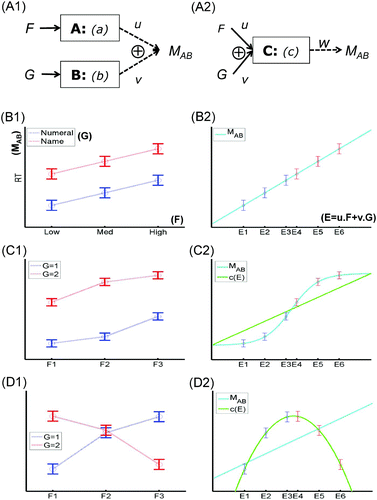 Figure 1. Two factors, one measurement: insufficiency of additive factors. Possible manner in which two experimental factors, F and G, could affect single measurement (M AB ) of two modules, A and B (Panel A1), or of a single module, C (Panel A2). The functions a, b, and c describe processes performed by modules; u, v, and w are measurement functions (or constants that control linear measurement functions in the discussion of Sternberg's, Citation2011, additive factors in the text). Example data when F (with three levels) and G (with two levels) have additive effects (Panel B1), and how these data are explained by linear measurement of the single module C, whose output, c(E), is a linear function of E, itself a linear combination of F and G (Panel B2; see text). Example data when F and G interact (Panel C1), and how these data are explained by nonlinear (but monotonic) measurement of a single module whose output is a linear function of F and G (Panel C2). Example data when F and G show a cross-over interaction (Panel D1), and how these data are explained by linear measurement of a single module, whose output is a nonlinear function of F and G (Panel D2). None of these data patterns therefore constitute evidence against a single module account (according to present framework).