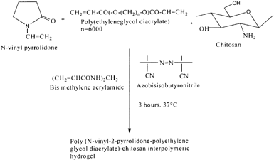 Figure 5 Schematic preparation of poly (N-vinyl-2-pyrrolidone-polyethylene glycol diacrylate)-chitosan hydrogels.