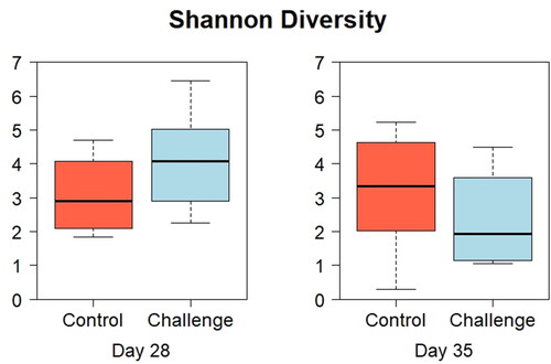 Figure 1. Effect of C. jejuni challenge on alpha-diversity indexes. Day-old broilers were randomly allocated into two treatments: Control or challenge (n = 6). Birds in challenge groups received 1 × 108 CFU/bird of C. jejuni or mock challenge (PBS) via oral gavage. On days 28 and 35 of age, the alpha-diversity indexes: (a) Shannon diversity (b) faith’s phylogenetic diversity (c) Pielou’s Evenness Index and (d) number of observed features were measured.