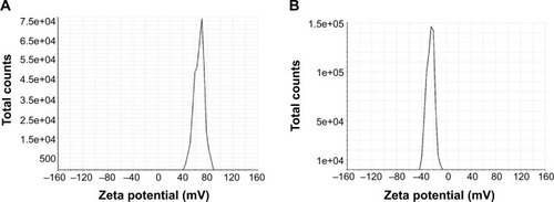 Figure 4 Surface charge analysis of nanorods by zeta potential measurement.Note: (A) AuNRs possessed high positive surface charge with a value of 66.2 mV and (B) SiO2-AuNRs possessed negative surface charge with a value −25.7 mV.Abbreviations: AuNRs, gold nanorods; SiO2-AuNRs, gold nanorods functionalized with silica.