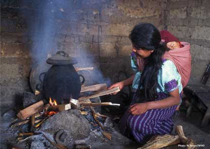 Fig. 1 A woman and her baby are exposed to high levels of household air pollution during cooking with a traditional open fire in Guatemala.