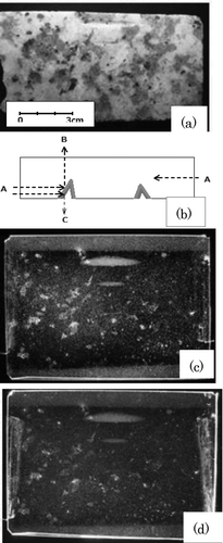 Figure 1 (a) Photograph of a piece of granite with smooth surface. (b) Light illumination A and observation side B or C of CR-39. (c) Macro-autoradiograph of the granite alpha emitter obtained with CR-39 for three-month exposure. The image was observed from the side B, which is opposite to etch pit side in (b). White portions correspond to the large density of alpha-particle etch pits. (d) The image was observed from the etch pit side C in (b)