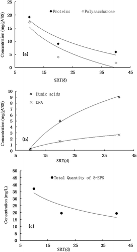 Figure 4. Relationship between SRT and quantities of S-EPS components. (a) proteins and polysaccharose, (b) humic acids and dna, (c) total quantity of S-EPS.
