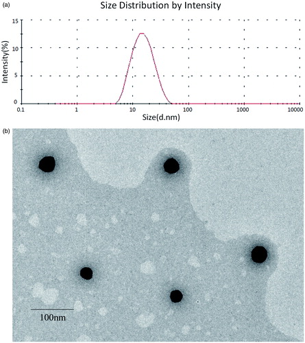 Figure 2. (A) Size distribution of SF mixed micelles as determined by DLS. (B) TEM images of SF-IS mixed micelles.