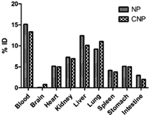 Figure 12. Concentration (%ID) of delivery system in tissue samples collected at 1 h after single dose of CNP or NP. N = 3. Mean ± SD. p < 0.05 versus NP.