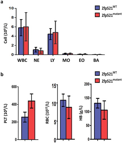 Figure 3. Zfp521 SUMOylation-deficient mice had normal peripheral blood counts. (a and b) Absolute number of white blood cells (WBC), neutrophils (NE), lymphocytes (LY), monocytes (MO), eosinophils (EO), basophils (BA) (a), platelets (PLT), red blood cells (RBC), and hemoglobin (HB) (b) in peripheral blood of Zfp521mutant and Zfp521WT mice at 7 weeks of age. Data were from two independent experiments (n = 4, per experiment) and present as mean ± SD.