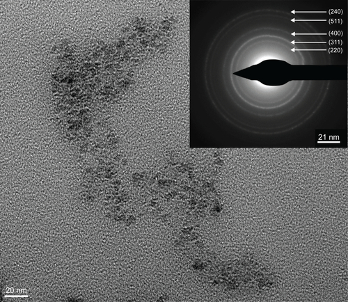 Figure S1 Transmission electron microscopy image of N-(trimethoxysilylpropyl)ethylenediaminetriacetate-iron oxide nanoparticles. Inset shows selected area electron diffraction pattern of these particles.