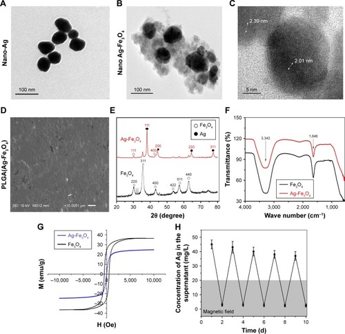 Figure 1 Characterization of PLGA(Ag-Fe3O4).Notes: (A) TEM image of Ag nanoparticles. (B) TEM image of Ag-Fe3O4 nanoparticles. (C) HRTEM image. (D) SEM image of PLGA(Ag-Fe3O4) covered on the planted tooth. (E) XRD. (F) FTIR spectrum. (G) Room temperature magnetic hysteresis loops of Ag-Fe3O4. (H) Ag-Fe3O4 multiple release behavior response to the magnetic field. It meant that Ag was stably bonded with Fe3O4.Abbreviations: PLGA, poly (D, L-lactic-co-glycolic acid); SEI, secondary electron image; TEM, transmission electron microscopy; M, static magnetic field; emu, electromagnetic unit; H, magnetic field strength; Oe, oersted; SEM, scanning electron microscopy; XRD, X-ray powder diffraction; FTIR, Fourier transform infrared; HRTEM, high-resolution transmission electron microscopy; WD, working distance (the distance from the objective lens to focus point).