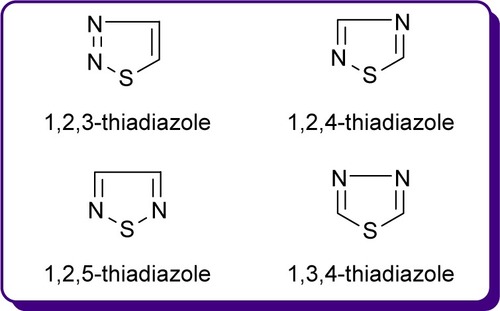 Figure 1 Natural isomers of the thiadiazole ring.