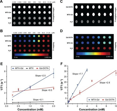 Figure 4 The signal intensity of MTX-Gd, MTX, and Gd-DOTA was measured by MRI in vitro.