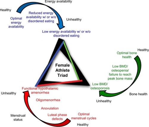 Figure 1 Spectra of the Female Athlete Triad. The three interrelated conditions of the Triad include low energy availability, menstrual dysfunction, and poor bone health. Each of these conditions may occur anywhere along a continuum from optimal health to a severe clinical endpoint.