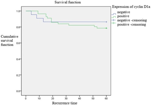 Figure 2 Comparison of time to postoperative recurrence between cyclin D1a-positive and cyclin D1a-negative expression group. The short-term recurrence rate showed no statistically significant difference between the two groups (p = 0.517).