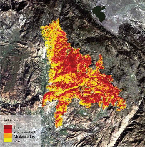 Figure 4. Burn severity classification of WCF.