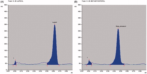 Figure 1. HPTLC chromatographic profile of (A) Standard lupeol (Rf value = 0.65); (B) Standard β-sitosterol (Rf value = 0.49).