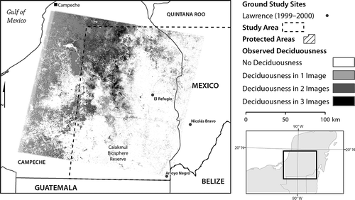 Figure 2. Seasonal deciduousness map created using a Mahalanobis Typicality threshold for deciduousness in three Landsat TM and ETM– scenes from 2009 (16 February, 4 March, and 5April).