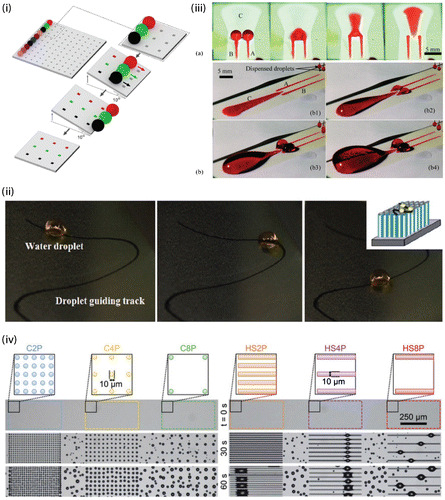 Figure 4. Passive control of drop motion on CHS. (i) Deposition by sliding drops on patterned CHS: (left figure) different kinds of liquids are placed on the first row of a 10 × 10 matrix of hydrophilic pads surrounded by superhydrophobic substrate; (right figures) zoomed view of sliding drops deposition process [Citation59]. (ii) Sequential pictures of a water drop moving along a well-defined track obtained by site-selective alcohol-based ink patterning of titania nanotube array [Citation61]. (iii) Pumpless functional surface devices capable of performing liquid bridging and draining. (a) Elevated end view sequence displaying liquid bridging and draining on a horizontal paper substrate. (b) Collection of liquid on the bridge circuit on a horizontal transparency (PET) film substrate after pumping for (b1) 1 cycle (~56 μL), (b2) 4 cycles (~226 μL), (b3) 7 cycles (~395 μL) and (b4) 10 cycles (~564 μL). The liquid (water) is dyed for better visualization [Citation63]. (iv) Spatial control of condensation on smooth CHS composed of arrays of circles or stripes effective in preventing the in-plane growth of ice.