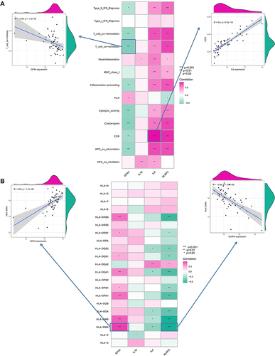 Figure 4 Correlations between hub PRGs and immune functions and HLA expression in AM samples. (A) Scatter plots of the correlations between the hub PRGs and immune functions. IL6 exhibited the strongest positive correlation with the CCR pathway (r=0.9), while GPX4 had the strongest negative correlation with the T co-inhibition (r= −0.55). (B) Scatter plots of the correlations between the hub PRGs and HLA expression. The HLA-DMA expression exhibited the strongest negative correlation with NLRP3 (r= −0.66), but had the strongest positive correlation with GPX4 (r=0.59). *P < 0.05; **P < 0.01; ***P < 0.001.