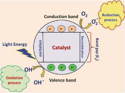 Figure 2. Graphic mechanism of photocatalysis [Citation30]