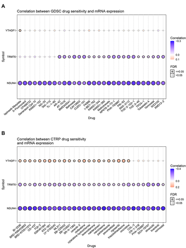 Figure 8 (A) Correlation between gene expression and the sensitivity of CTRP drugs (top 30) in pan-cancer. (B) Correlation between gene expression and the sensitivity of GDSC drugs (top 30) in pan-cancer.