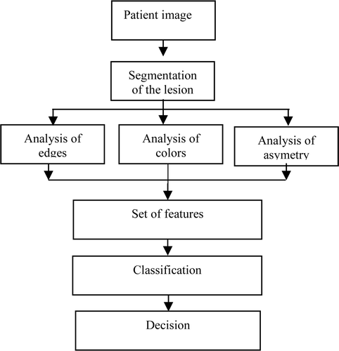 Figure 9. Classification algorithm of tumour skin Citation[15].